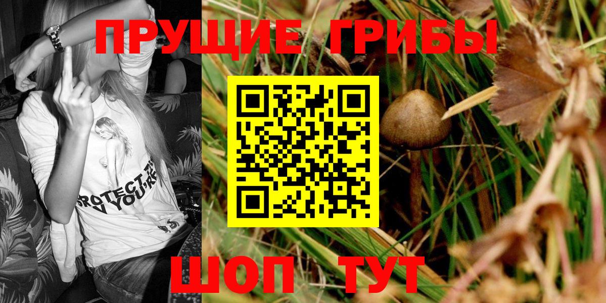 Псилоцибиновые грибы MAGIC MUSHROOMS  Вход с VPN  Белебей  Псилоцибиновые грибы Cubensis 